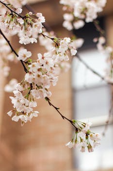 春天里听奋进中国铿锵足音 写在2026年全国两会召开之际 新闻