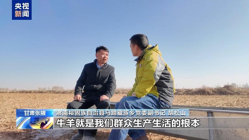 新春走基层丨下山借牧还交上了朋友 这趟“冬牧”值了 新闻 新春走基层丨下山借牧还交上了朋友 这趟“冬牧”值了 新闻