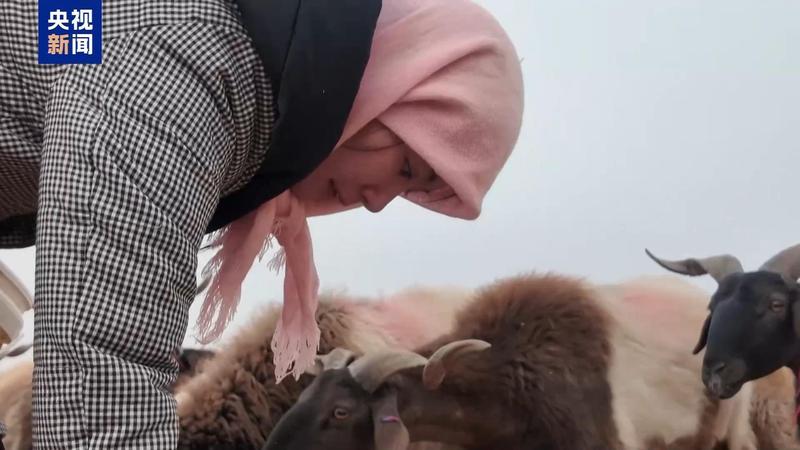 新春走基层丨下山借牧还交上了朋友 这趟“冬牧”值了 新闻 新春走基层丨下山借牧还交上了朋友 这趟“冬牧”值了 新闻