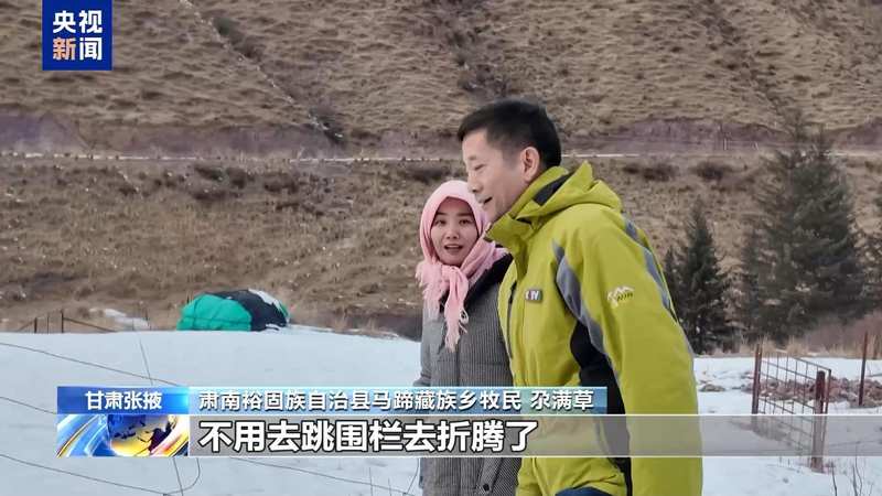 新春走基层丨下山借牧还交上了朋友 这趟“冬牧”值了 新闻 新春走基层丨下山借牧还交上了朋友 这趟“冬牧”值了 新闻
