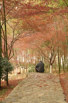 克林顿称特朗普曾提及与爱泼斯坦“有过美好时光” 新闻