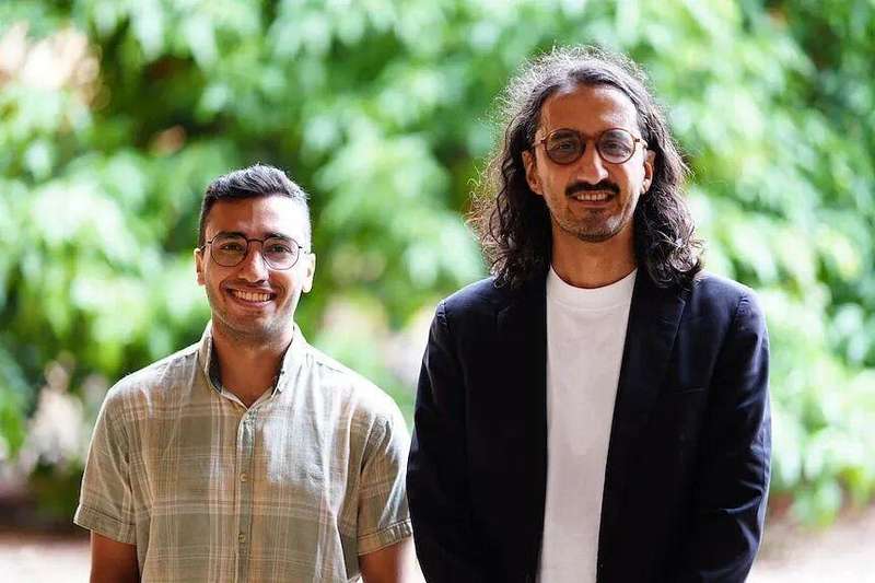 树木如何悄然改变悉尼房价走势;距离10至20米成关键;过近反而带来隐患。 房产家居