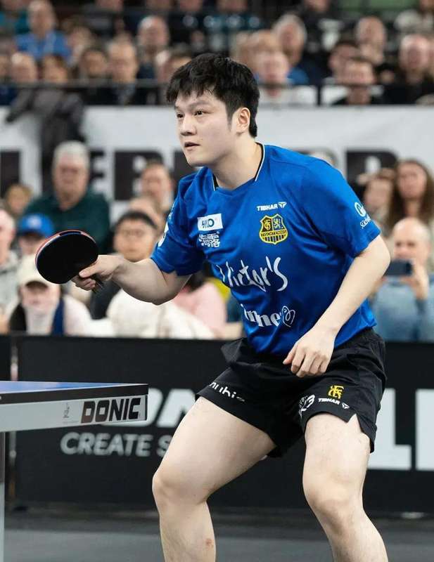  从国家队到德甲赛场；樊振东的勇敢一步，刘国梁给出肯定评价。 体育新闻 从国家队到德甲赛场；樊振东的勇敢一步，刘国梁给出肯定评价。 体育新闻 从国家队到德甲赛场；樊振东的勇敢一步，刘国梁给出肯定评价。 体育新闻 从国家队到德甲赛场；樊振东的勇敢一步，刘国梁给出肯定评价。 体育新闻