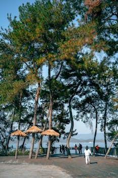 备案数量显著攀升；股票策略主导布局；头部机构优势凸显。