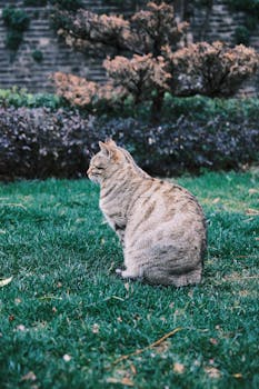 生态环境法典草案出台,禁烧秸秆与治理家门口油烟噪声成重点;民生痛点获针对性回应 新闻 生态环境法典草案出台,禁烧秸秆与治理家门口油烟噪声成重点;民生痛点获针对性回应 新闻 生态环境法典草案出台,禁烧秸秆与治理家门口油烟噪声成重点;民生痛点获针对性回应 新闻 生态环境法典草案出台,禁烧秸秆与治理家门口油烟噪声成重点;民生痛点获针对性回应 新闻 生态环境法典草案出台,禁烧秸秆与治理家门口油烟噪声成重点;民生痛点获针对性回应 新闻 生态环境法典草案出台,禁烧秸秆与治理家门口油烟噪声成重点;民生痛点获针对性回应 新闻