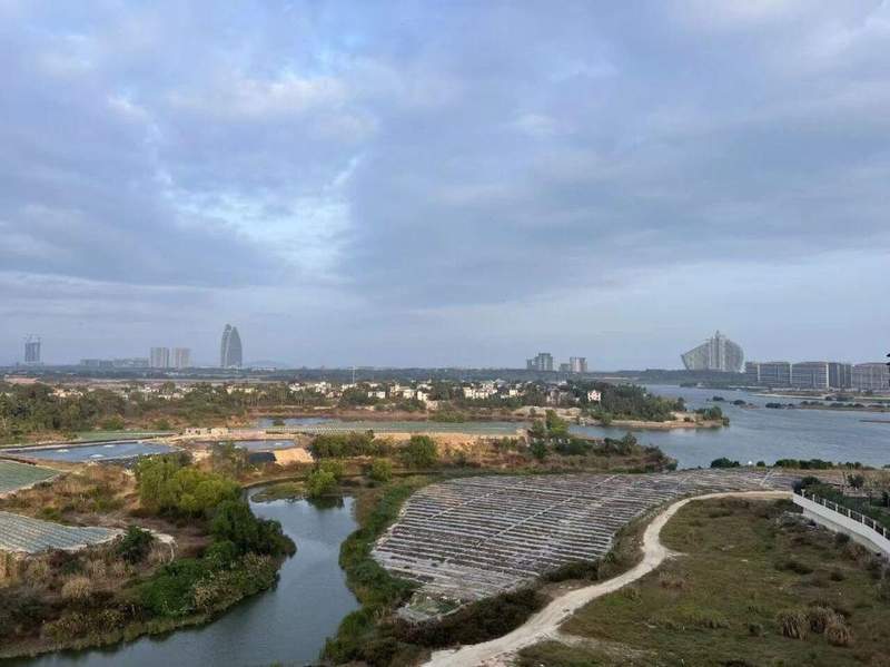  三亚红树林酒店经营现状剖析；债权处置引发热议，今典集团正面回应。 文化旅游