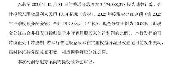 资产负债表深度解构:重庆银行2025年增长逻辑与风险控制机制 IT技术 资产负债表深度解构:重庆银行2025年增长逻辑与风险控制机制 IT技术