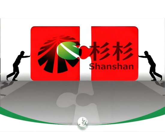 百亿资产博弈迷局:从重整风暴看企业控制权的艰难突围 企业服务