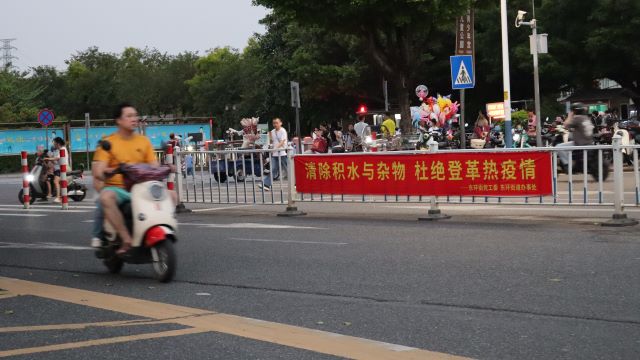  隐秘的健康威胁：两种虫媒传染病正式升级，全方位防控指南揭秘 新闻 隐秘的健康威胁：两种虫媒传染病正式升级，全方位防控指南揭秘 新闻