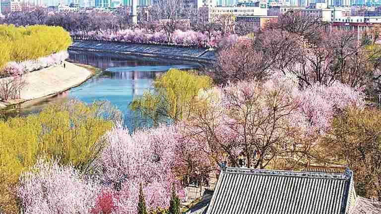 【城市文旅运营者】打造全域沉浸式文旅新图景指南 企业服务