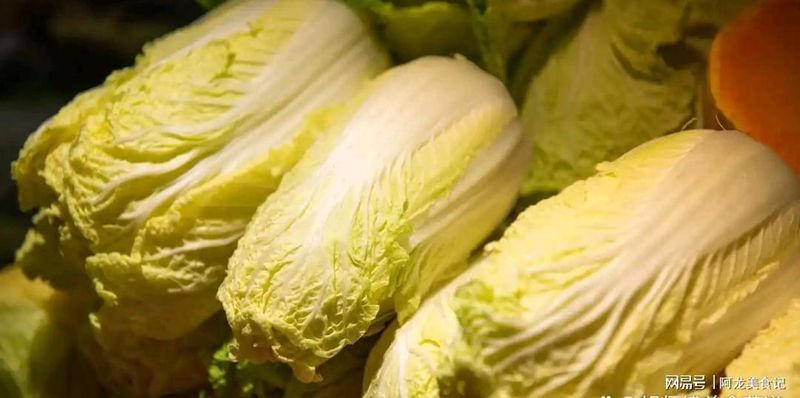 消费焦虑下的理性抉择:清明节令食品的避坑指南 新闻