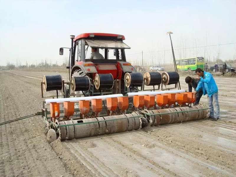 【技术深挖】新疆棉花开播窗口期:四大核心参数决定亩产天花板 新闻