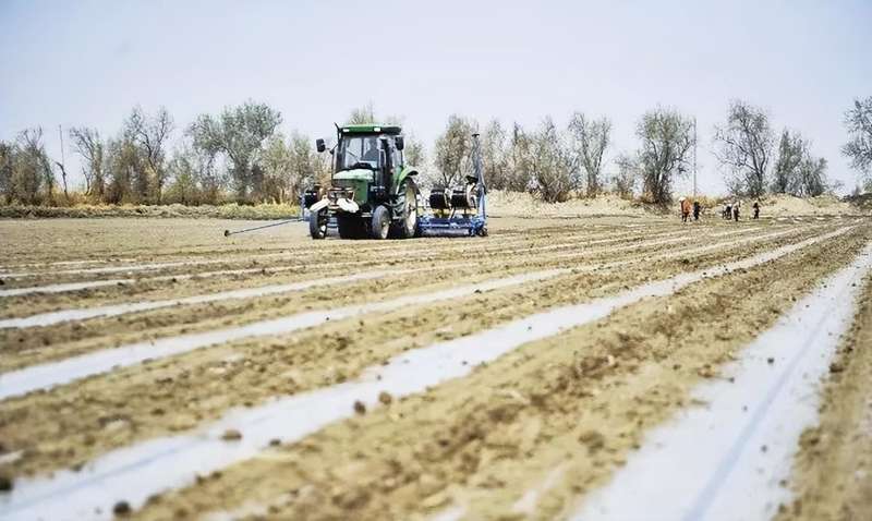 【技术深挖】新疆棉花开播窗口期:四大核心参数决定亩产天花板 新闻