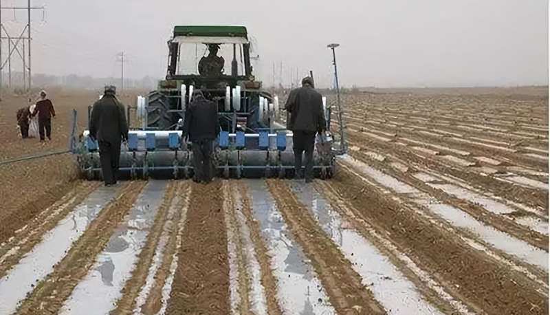 【技术深挖】新疆棉花开播窗口期:四大核心参数决定亩产天花板 新闻