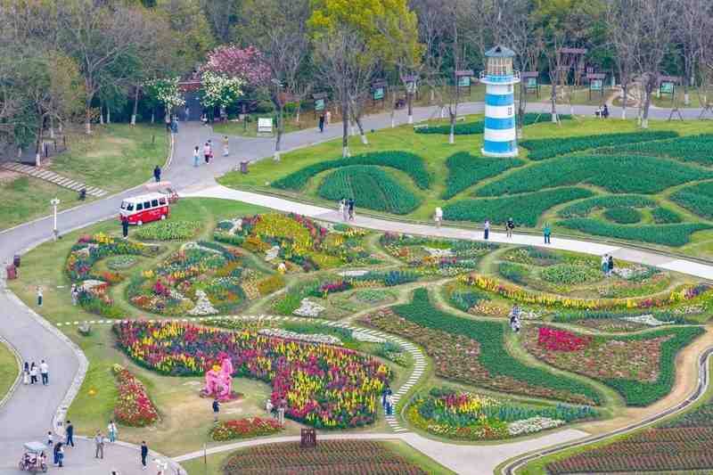  上海浦东赏花全攻略：从樱花大道到桃花村的春日花期解码与技术路线 文化旅游