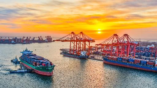  线粒体胶囊技术深度解析：80%投递效率如何重塑细胞器治疗范式 健康养生