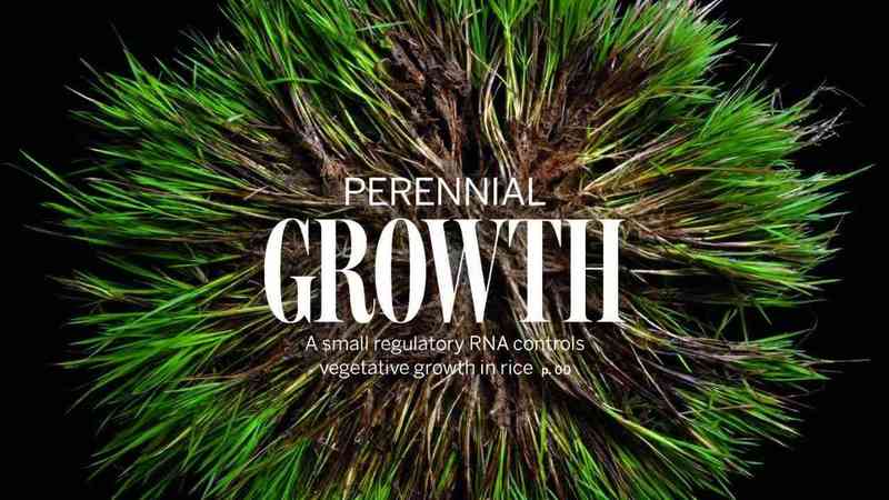  线粒体胶囊技术深度解析：80%投递效率如何重塑细胞器治疗范式 健康养生