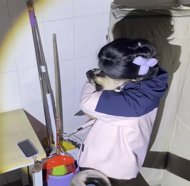  【行业深度】从电商跨界到寻宠服务：一位92年创业者的四年复盘与核心技术方法论 新闻