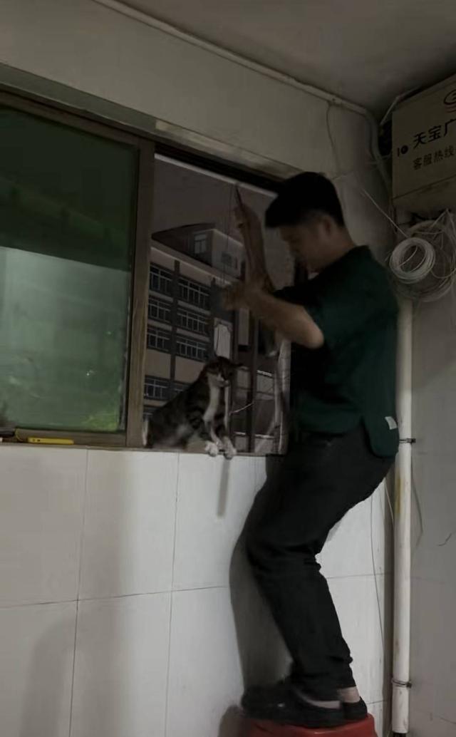  【行业深度】从电商跨界到寻宠服务：一位92年创业者的四年复盘与核心技术方法论 新闻