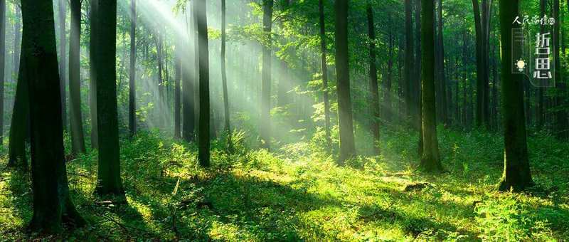  深度解析｜人生三渡的底层逻辑：格局、智慧与修行的内在关联 情感心理