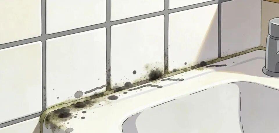  那些"小黑点"正在悄悄伤害家人：霉菌防护实战指南 健康养生