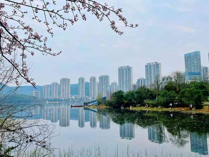 【战术拆解】从火力压制到心理溃败:一场不对等对抗中的决策链分析 影视小说