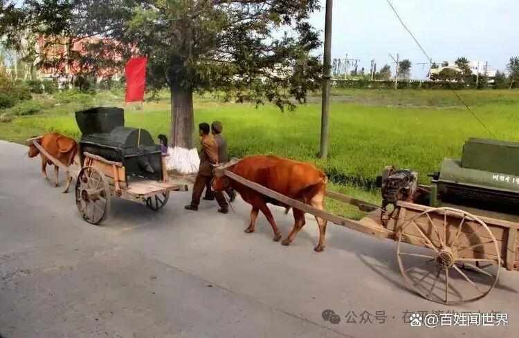 我在平壤住了五天,终于读懂了那句“江那边的灯光太亮” 文化旅游 我在平壤住了五天,终于读懂了那句“江那边的灯光太亮” 文化旅游
