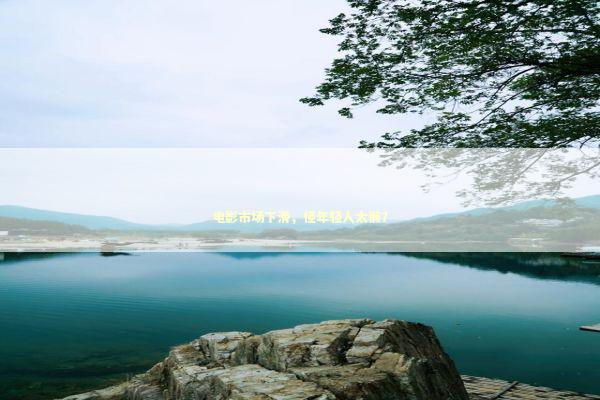 电影市场下滑，怪年轻人太懒？ 新闻