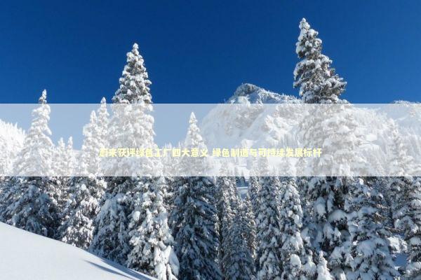 蔚来获评绿色工厂四大意义 绿色制造与可持续发展标杆 蔚来获评绿色工厂四大意义 绿色制造与可持续发展标杆 新闻