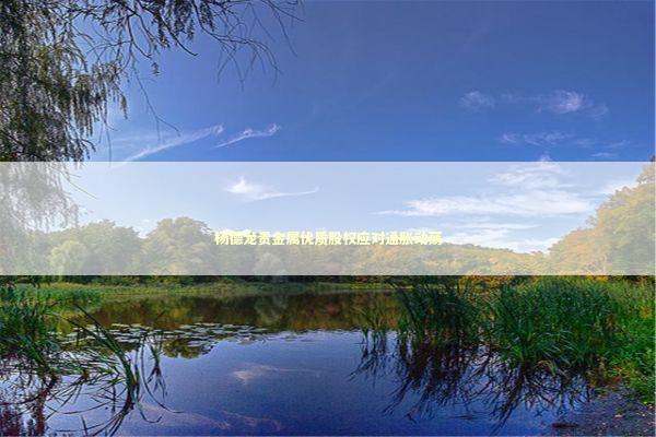 杨德龙贵金属优质股权应对通胀动荡 新闻