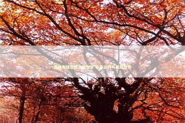 佰维存储业绩古文智慧 时来运转与风险警示 佰维存储业绩古文智慧 时来运转与风险警示 新闻