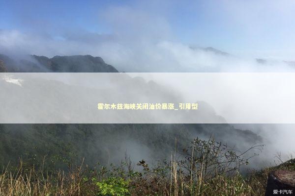 霍尔木兹海峡关闭油价暴涨_引用型 新闻