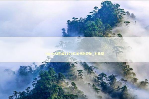 OpenAI完成1100亿美元融资轮_对比型