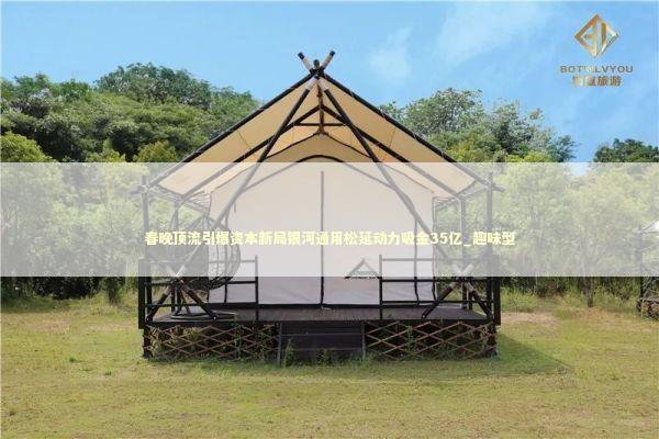 春晚顶流引爆资本新局银河通用松延动力吸金35亿_趣味型 春晚顶流引爆资本新局银河通用松延动力吸金35亿_趣味型 新闻