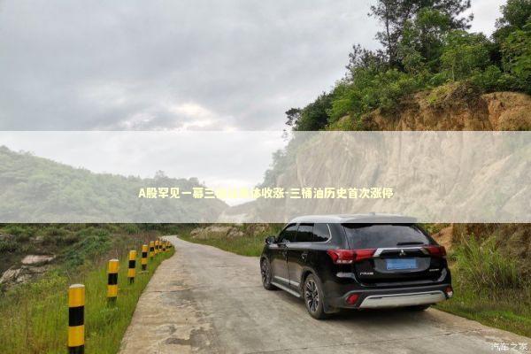 A股罕见一幕三桶油集体收涨-三桶油历史首次涨停 新闻