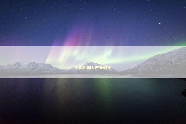 人形机器人产业爆发 新闻