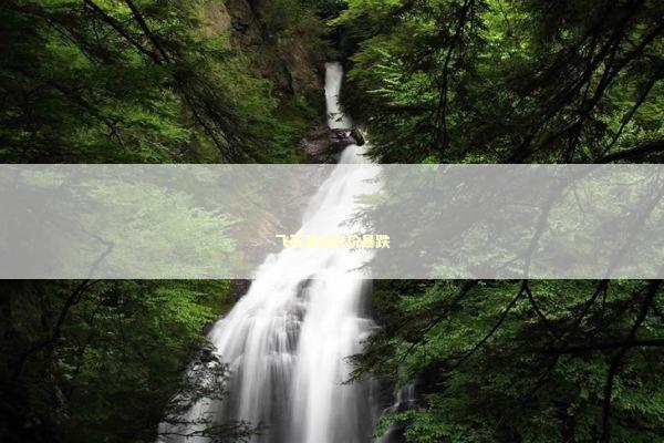 飞天茅台批价暴跌 飞天茅台批价暴跌 新闻