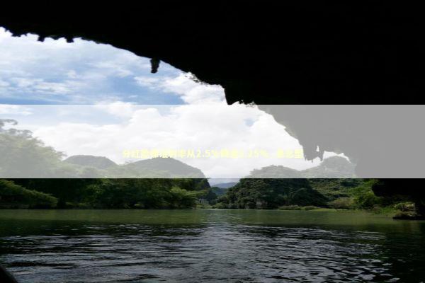 分红险保证利率从2.5%降至1.25%_悬念型 分红险保证利率从2.5%降至1.25%_悬念型 新闻