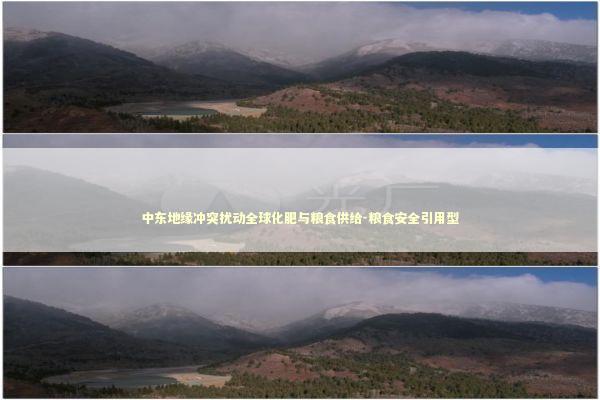 中东地缘冲突扰动全球化肥与粮食供给-粮食安全引用型 中东地缘冲突扰动全球化肥与粮食供给-粮食安全引用型 新闻