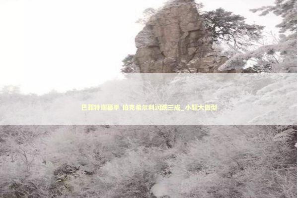 巴菲特谢幕季 伯克希尔利润跌三成_小题大做型