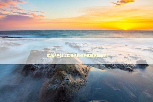 富力地产11.1亿被执行债务化解前路未明 新闻