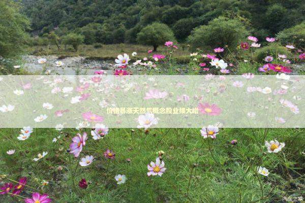 价格暴涨天然气概念股业绩大增 新闻