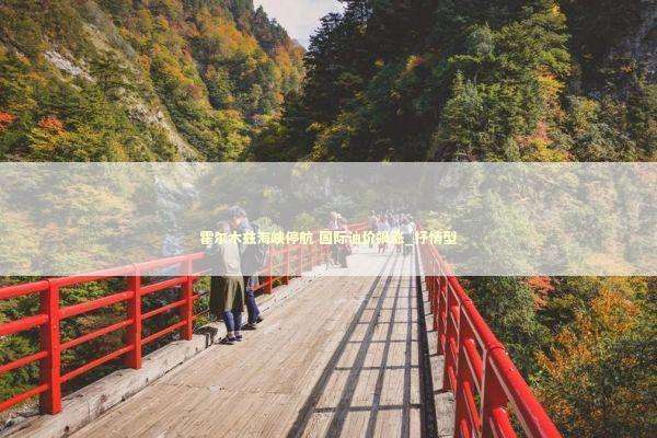 霍尔木兹海峡停航 国际油价飙涨_抒情型