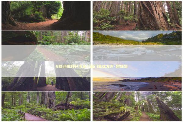 A股迎来利好消息六部门集体发声-趣味型