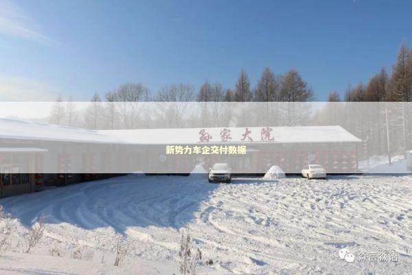 新势力车企交付数据 新势力车企交付数据 新闻