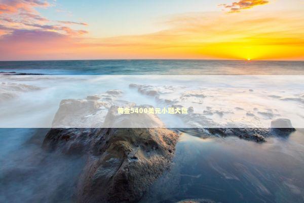 黄金5400美元小题大做 黄金5400美元小题大做 新闻