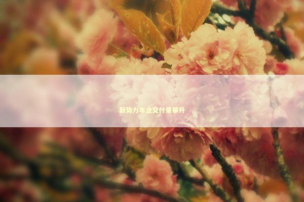 新势力车企交付量攀升 新势力车企交付量攀升 新闻