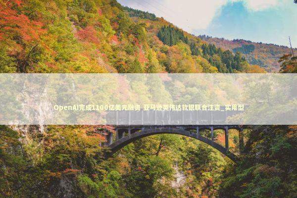 OpenAI完成1100亿美元融资 亚马逊英伟达软银联合注资_实用型 新闻