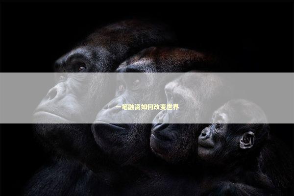 一笔融资如何改变世界