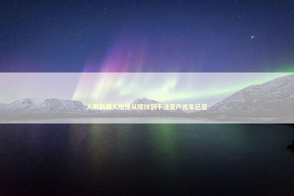 人形机器人加速从炫技到干活量产元年已至 人形机器人加速从炫技到干活量产元年已至 新闻